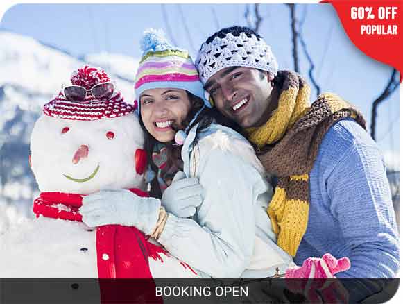 Manali Honeymoon Packages