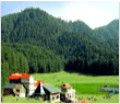 shimla kullumanali tours